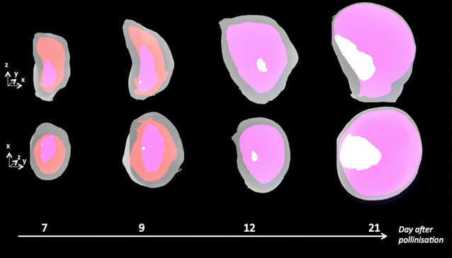 Fig. 4