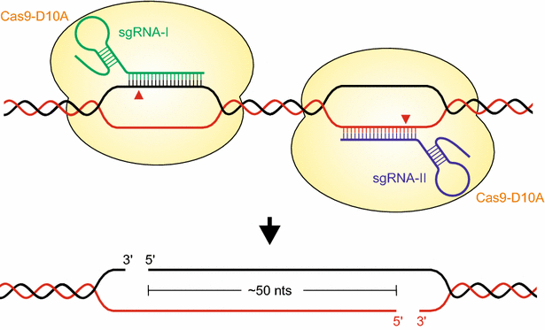 Fig. 2