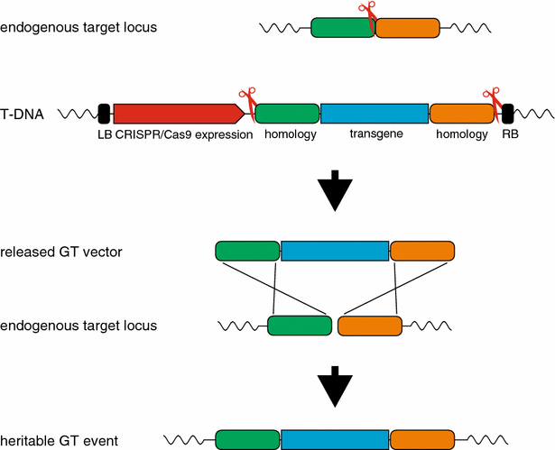 Fig. 3