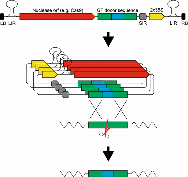 Fig. 4