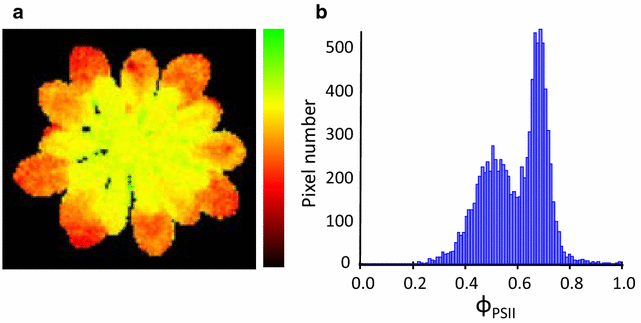 Fig. 1