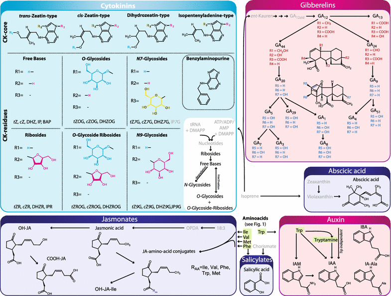 Fig. 4