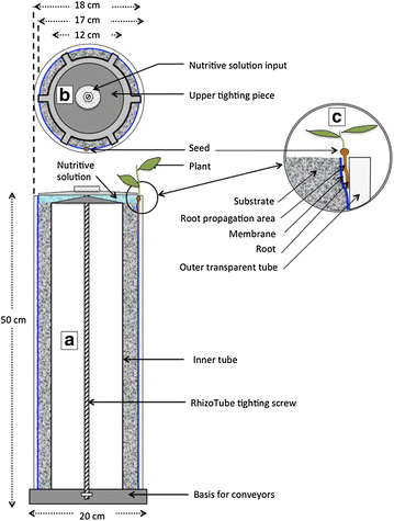 Fig. 1