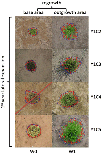 Fig. 1