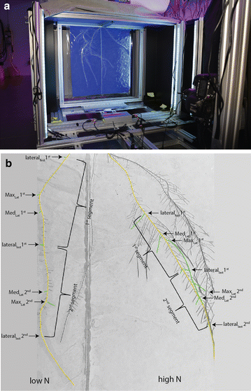 Fig. 2