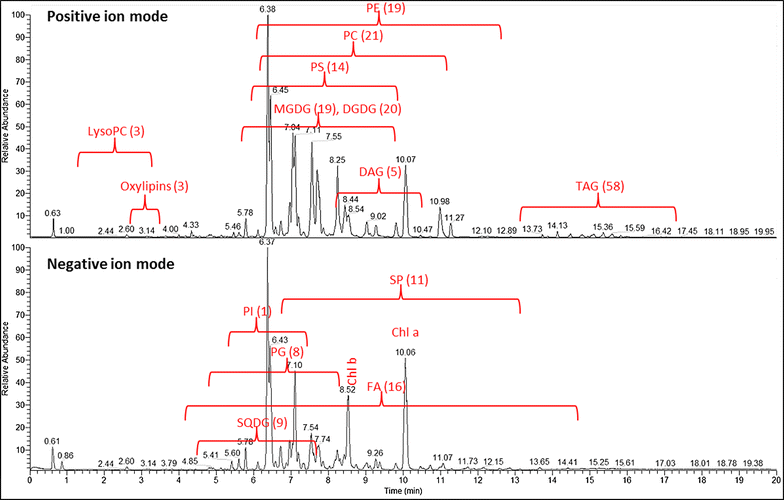 Fig. 3