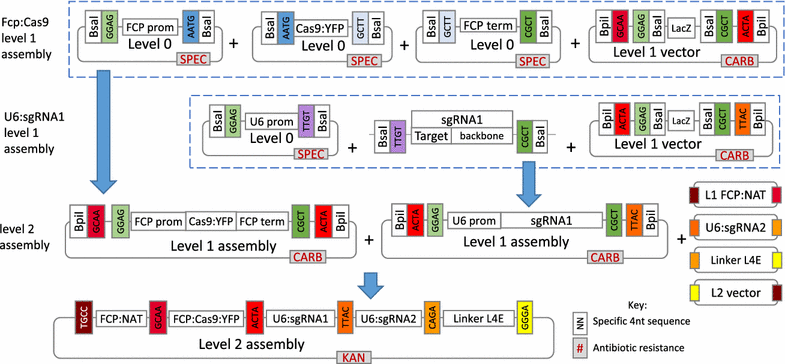 Fig. 1