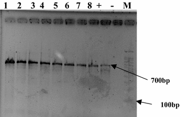 Fig. 5