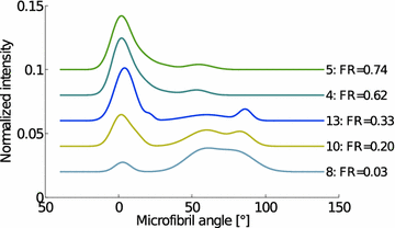 Fig. 12