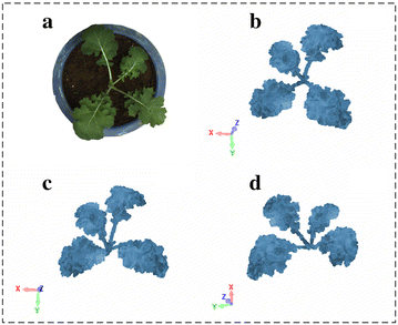 Fig. 2