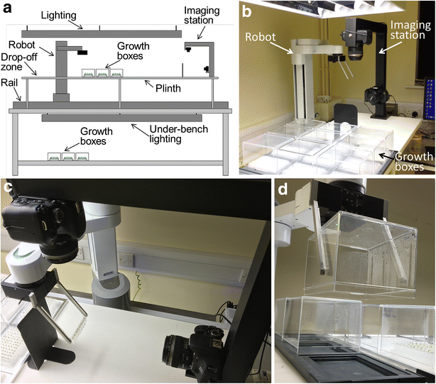 Fig. 2