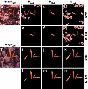 Fig. 8