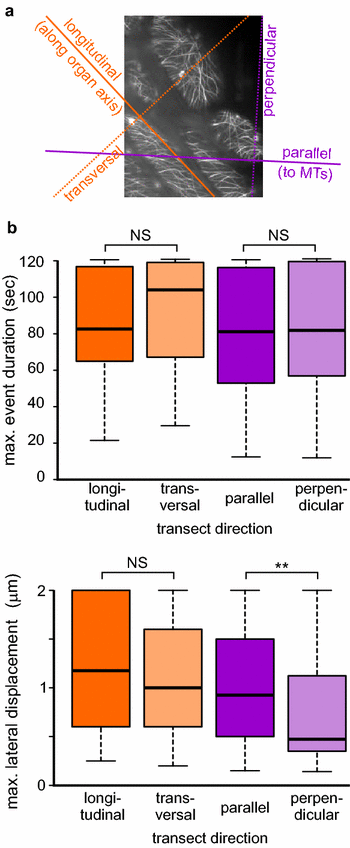 Fig. 10