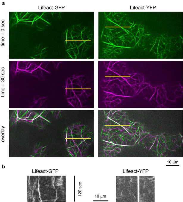 Fig. 7