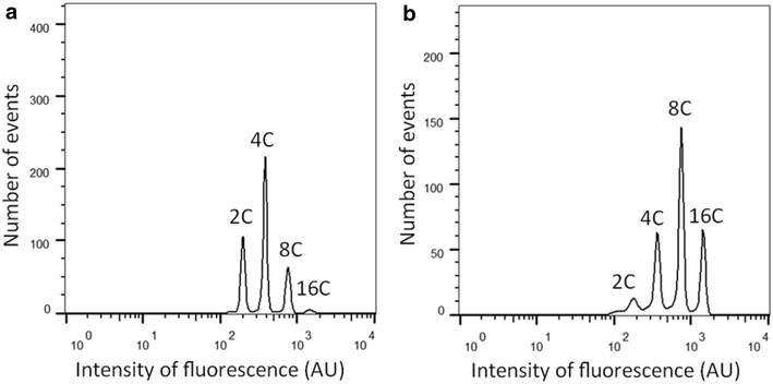 Fig. 2