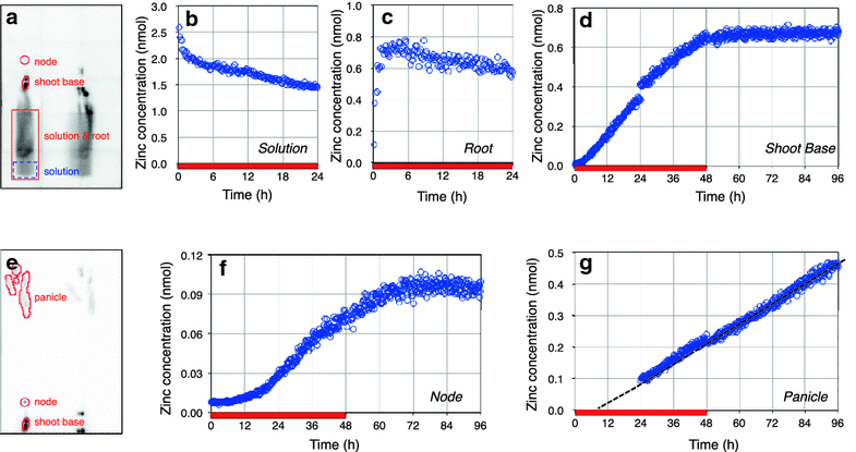 Fig. 2