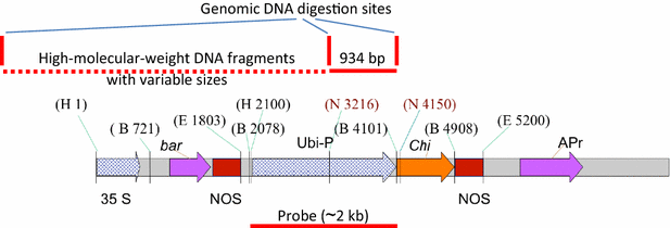 Fig. 1