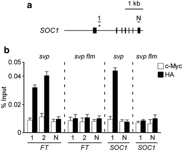 Fig. 5