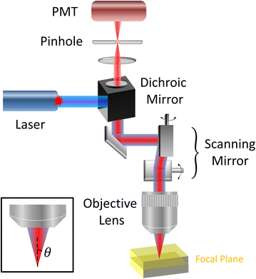 Fig. 1