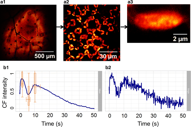 Fig. 3