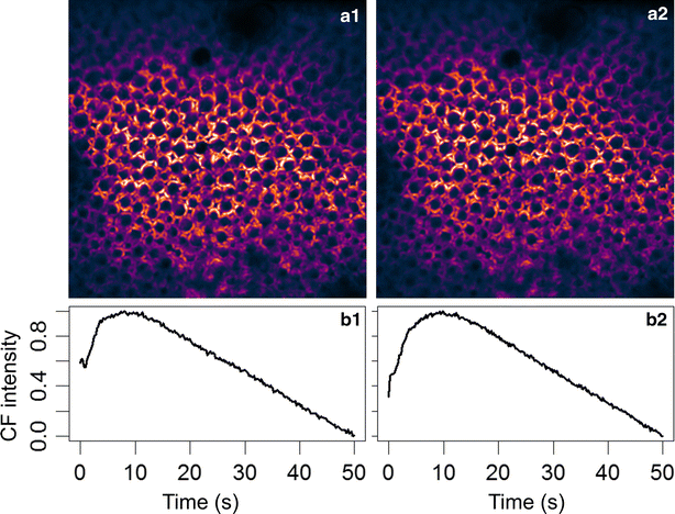 Fig. 7