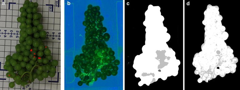 Fig. 10