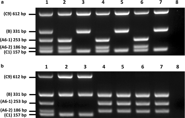 Fig. 4