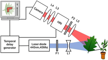 Fig. 2