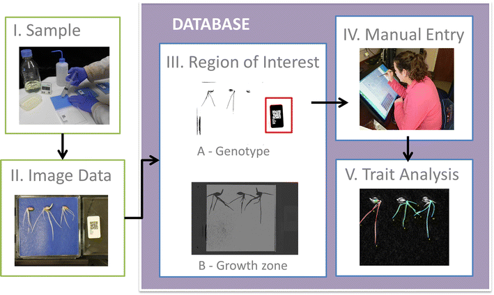 Fig. 1