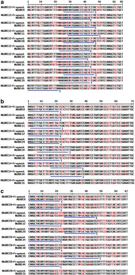 Fig. 7