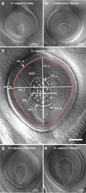 Fig. 4