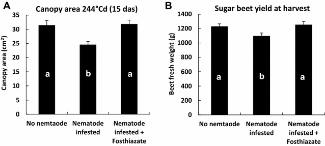 Fig. 8