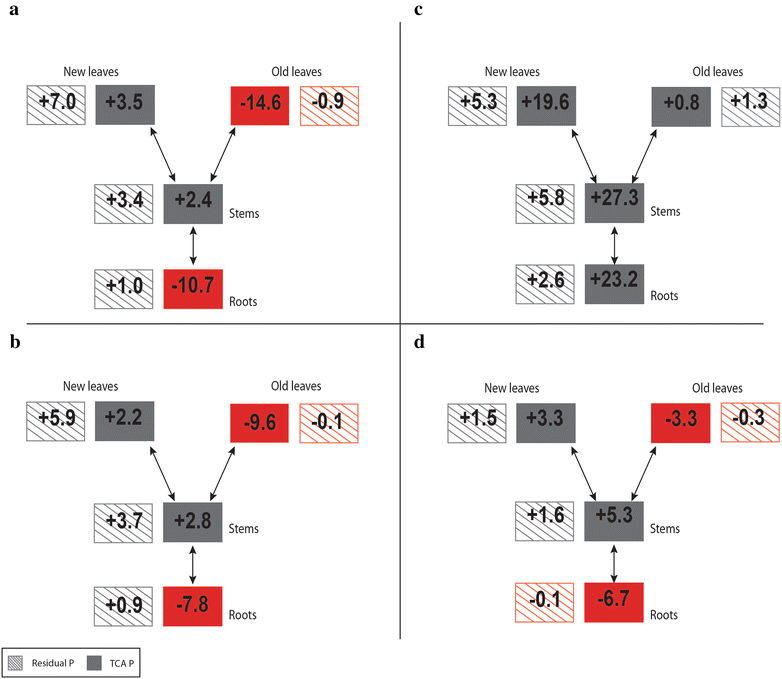 Fig. 3