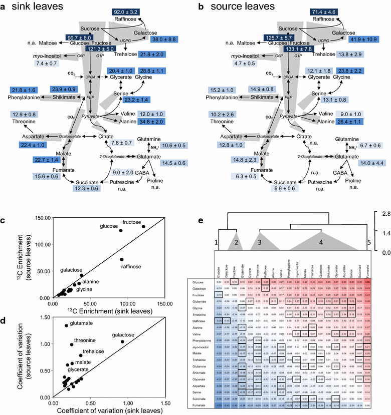 Fig. 6