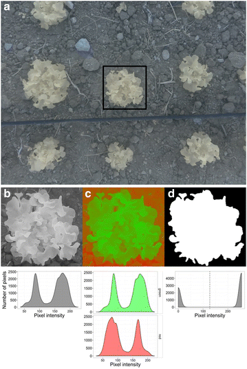 Fig. 2