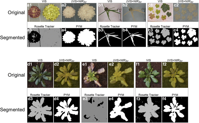 Fig. 6