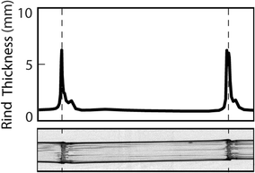 Fig. 3