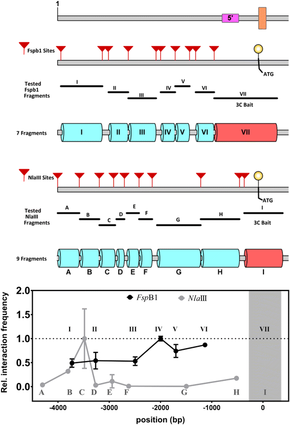 Fig. 5