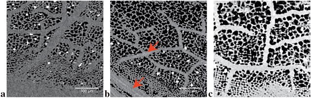 Fig. 7