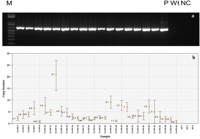 Fig. 3