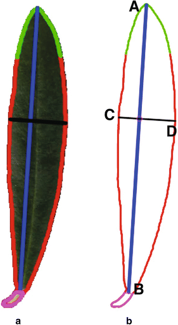 Fig. 4