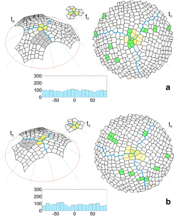 Fig. 5