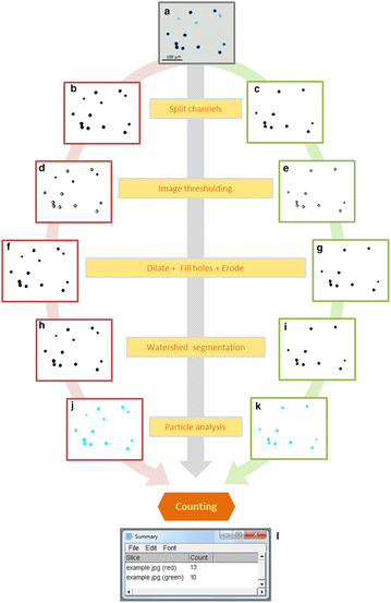 Fig. 1