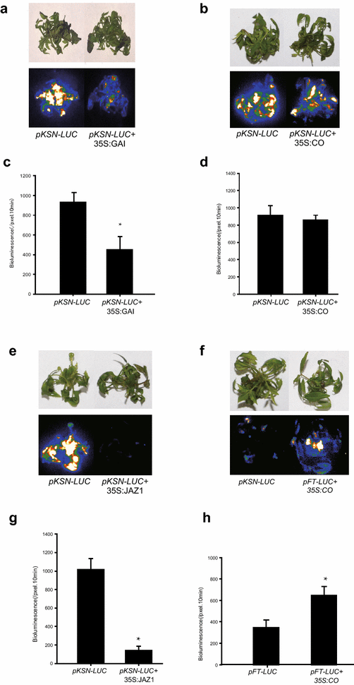 Fig. 7