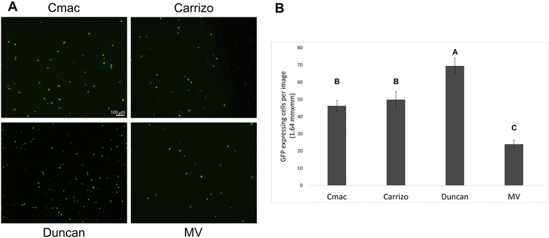 Fig. 2