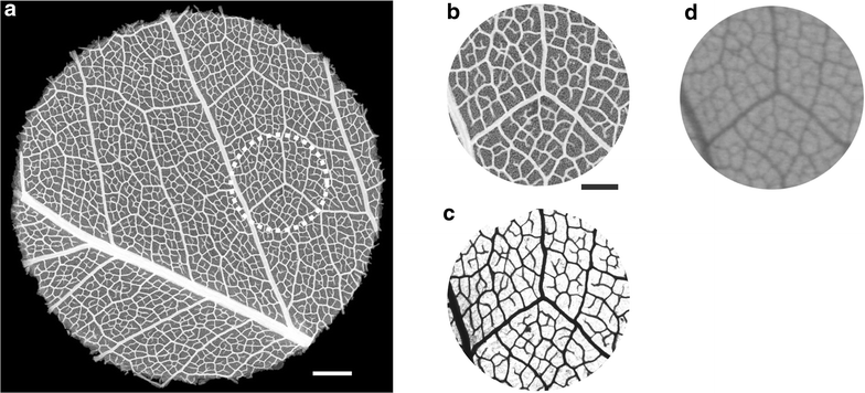 Fig. 5