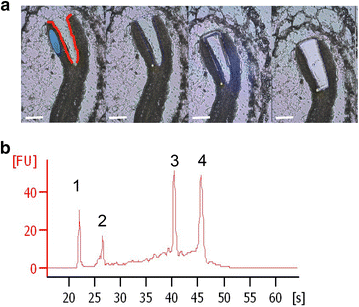 Fig. 2