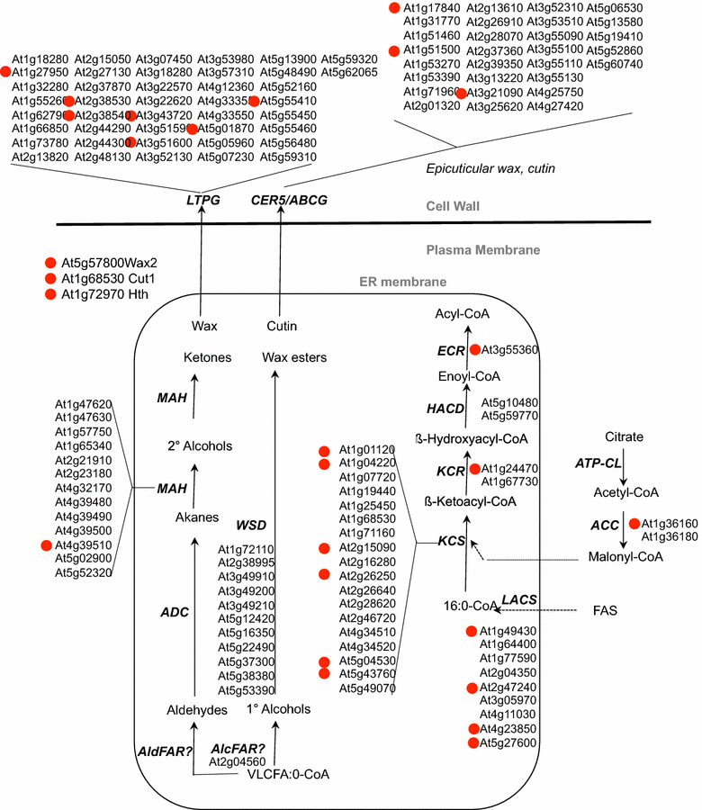 Fig. 5