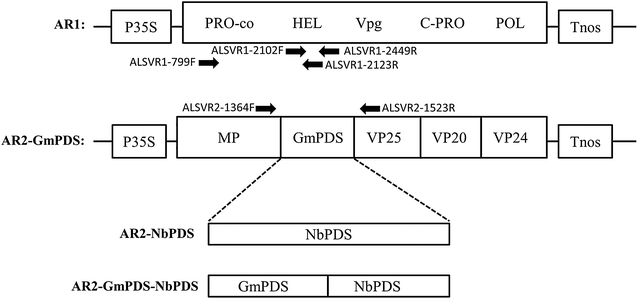 Fig. 1