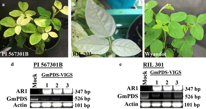 Fig. 3